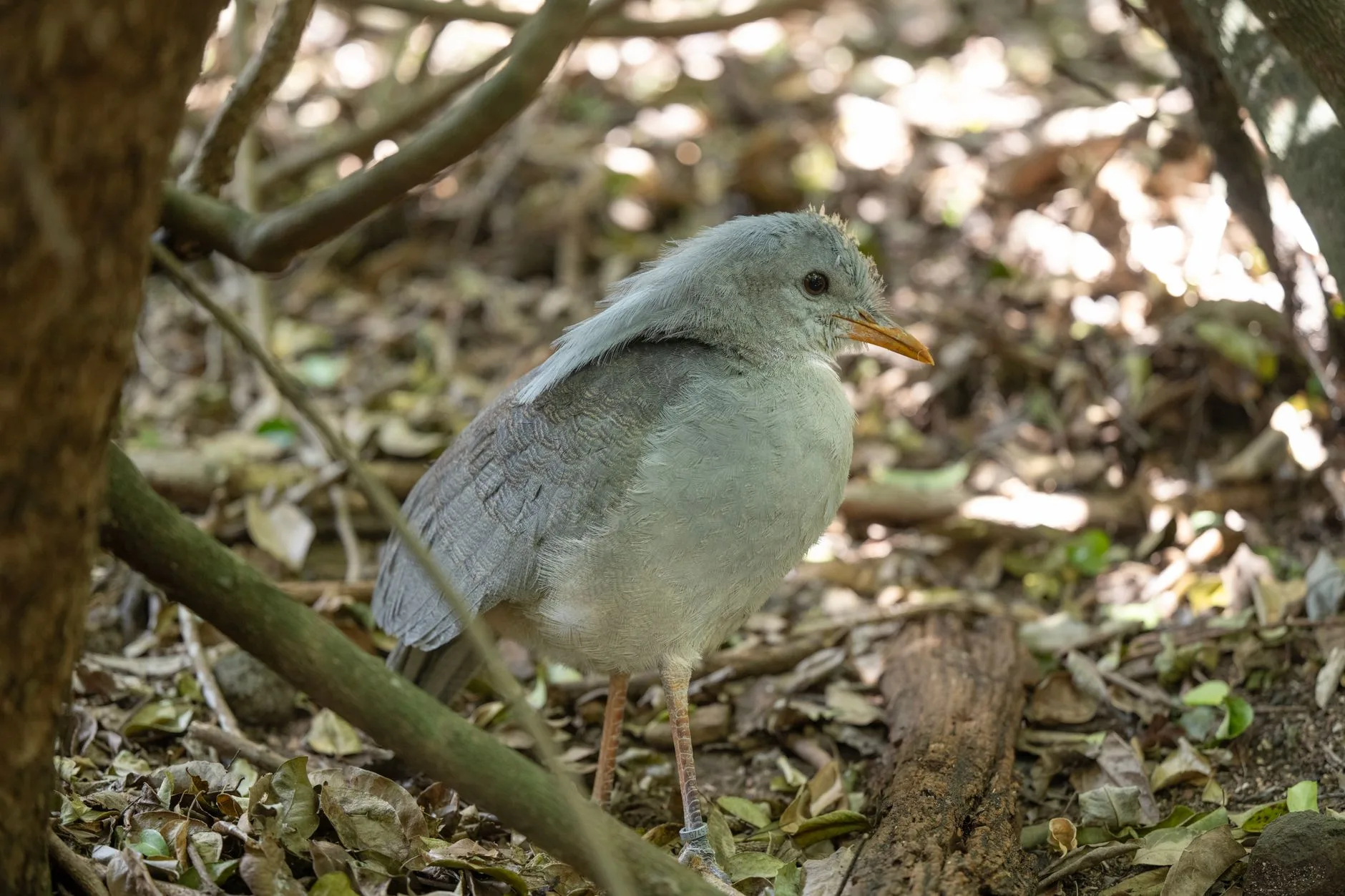 Pourquoi visiter la Rivière Bleue